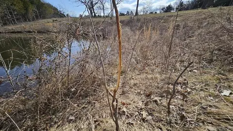 Erbie Cutoff Rd, Harrison, AR 72601 photo 39