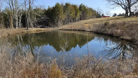 Erbie Cutoff Rd, Harrison, AR 72601 photo 37