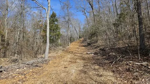 Erbie Cutoff Rd, Harrison, AR 72601 photo 43