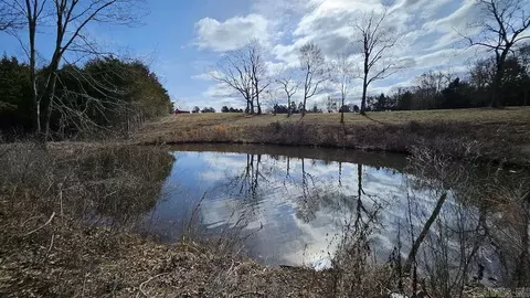 Erbie Cutoff Rd, Harrison, AR 72601 photo 6