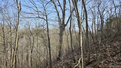 Erbie Cutoff Rd, Harrison, AR 72601 photo 34