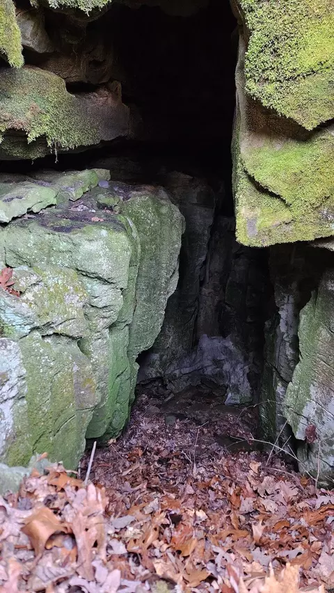 Erbie Cutoff Rd, Harrison, AR 72601 photo 30