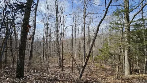 Erbie Cutoff Rd, Harrison, AR 72601 photo 41