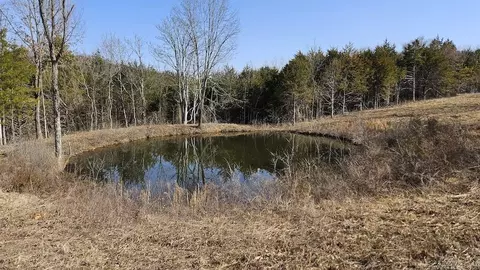 Erbie Cutoff Rd, Harrison, AR 72601 photo 36