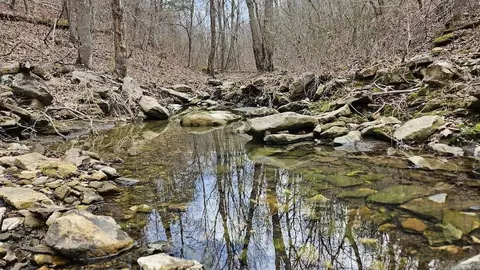 Erbie Cutoff Rd, Harrison, AR 72601 photo 7