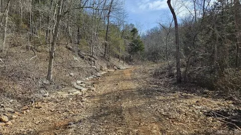 Erbie Cutoff Rd, Harrison, AR 72601 photo 42