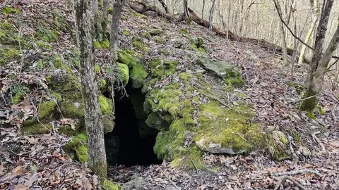 Erbie Cutoff Rd, Harrison, AR 72601 photo 2