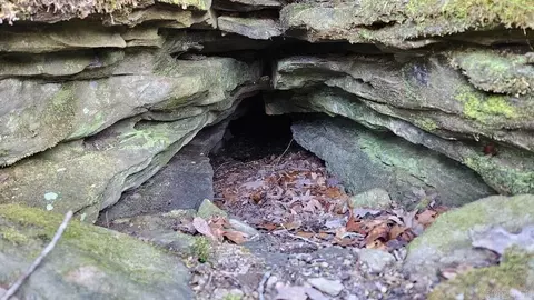 Erbie Cutoff Rd, Harrison, AR 72601 photo 32