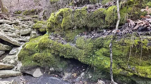 Erbie Cutoff Rd, Harrison, AR 72601 photo 45