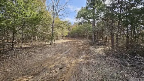 Erbie Cutoff Rd, Harrison, AR 72601 photo 40