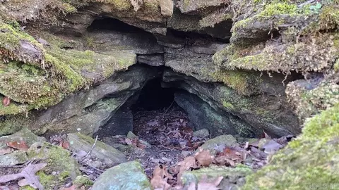 Erbie Cutoff Rd, Harrison, AR 72601 photo 31