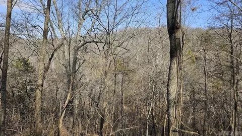 Erbie Cutoff Rd, Harrison, AR 72601 photo 33