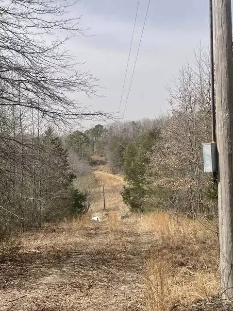 148 Sam Ln, Hatfield, AR 71945 photo 3