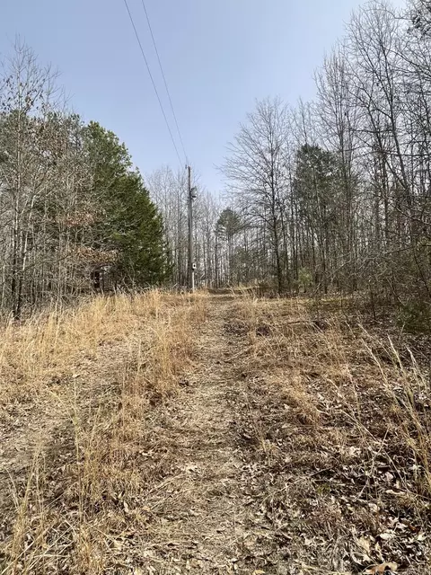148 Sam Ln, Hatfield, AR 71945 photo 4