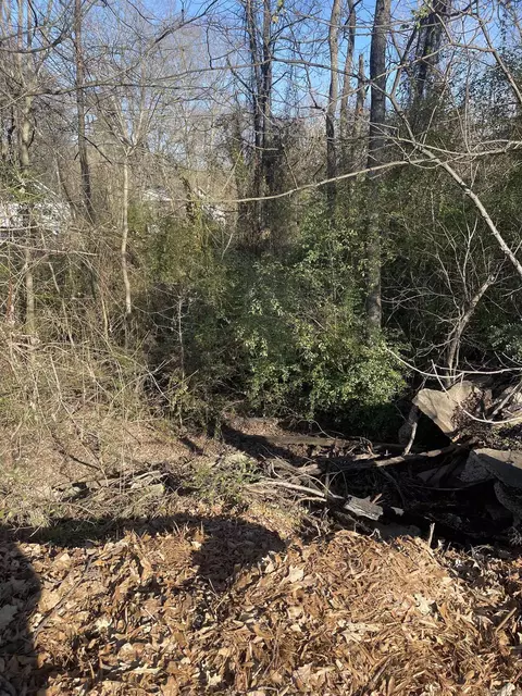 tbd E Stillwell Ave, De Queen, AR 71832 photo 2