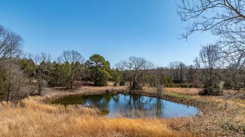 840 Old Gin Rd, Bee Branch, AR 72013 photo 40
