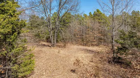 840 Old Gin Rd, Bee Branch, AR 72013 photo 38