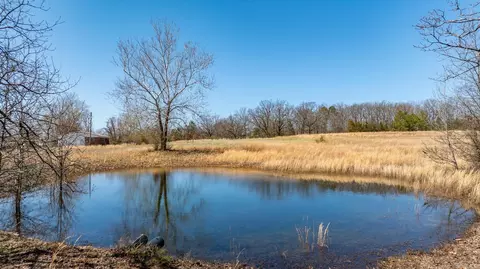 840 Old Gin Rd, Bee Branch, AR 72013 photo 41