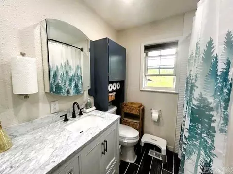 Bath - 1605 Maple Dr, Mountain View, AR 72560 photo 2 of 3