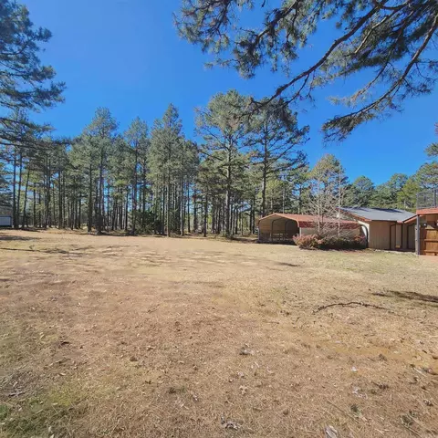 40 Mockingbird Ln, Quitman, AR 72131 photo 38