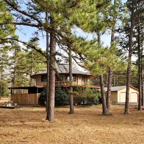 40 Mockingbird Ln, Quitman, AR 72131 photo 2