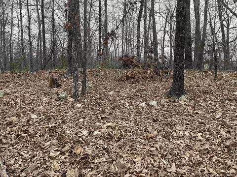 tbd Kamiakin, Cherokee Village, AR 72529