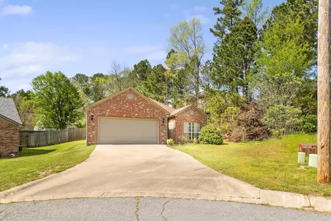 1327 Overview Cv, Benton, AR 72015 photo 27