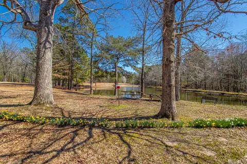 14715 Chicot Rd, Mabelvale, AR 72103 photo 11