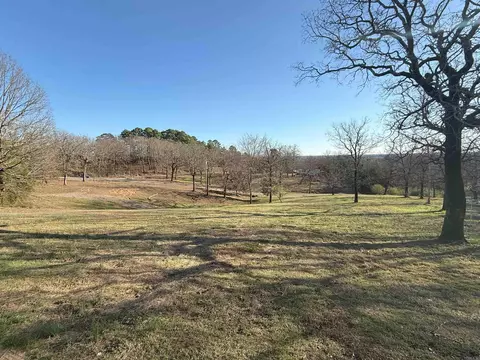 61 Wilderness Rd, Greenbrier, AR 72058 photo 2