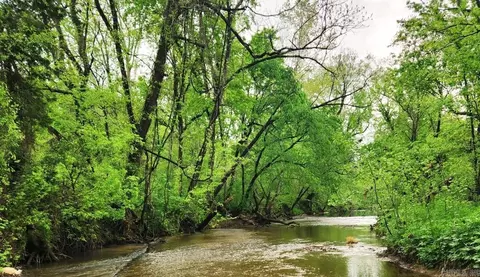 2132 Easy K Rd, Sage, AR 72573