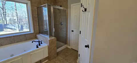 Bath - 1023 Skyline Dr, Alexander, AR 72002 photo 2 of 2