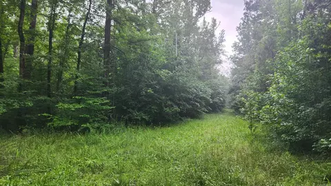 tbd Markerville Rd, Story, AR 71970