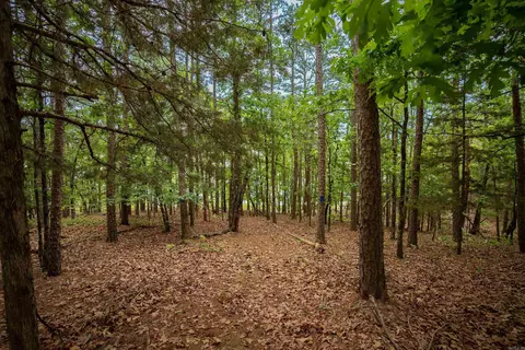 31 Farris Lndg, Quitman, AR 72131 photo 40