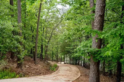 31 Farris Lndg, Quitman, AR 72131 photo 45