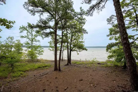 31 Farris Lndg, Quitman, AR 72131 photo 42