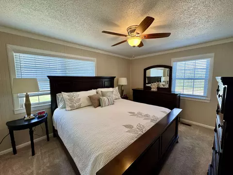 936 Johnson View Rd, Violet Hill, AR 72584 photo 12