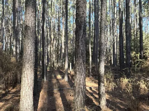 1 W Dallas County Line, Sparkman, AR 71763