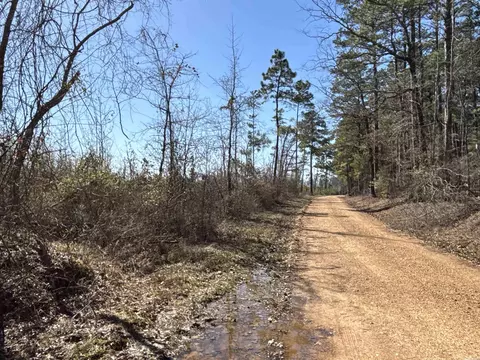 1 Palmetto Rd, Sparkman, AR 71763