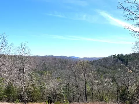 9205 Hwy 9 Hwy, Melbourne, AR 72556 photo 12