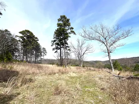 9205 Hwy 9 Hwy, Melbourne, AR 72556 photo 27
