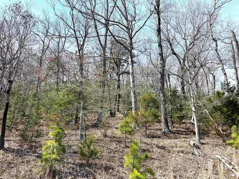 9205 Hwy 9 Hwy, Melbourne, AR 72556 photo 13