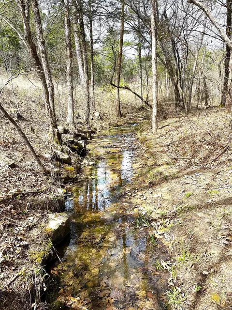 9205 Hwy 9 Hwy, Melbourne, AR 72556 photo 28