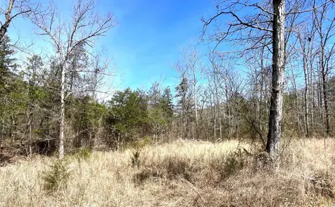 9205 Hwy 9 Hwy, Melbourne, AR 72556 photo 3