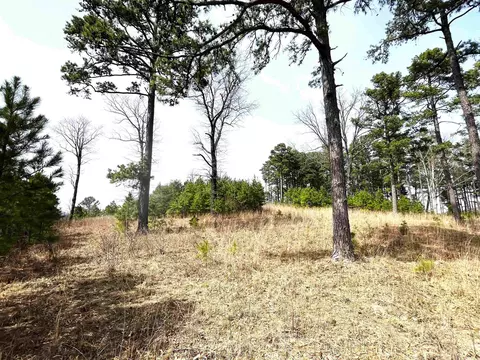 9205 Hwy 9 Hwy, Melbourne, AR 72556 photo 25