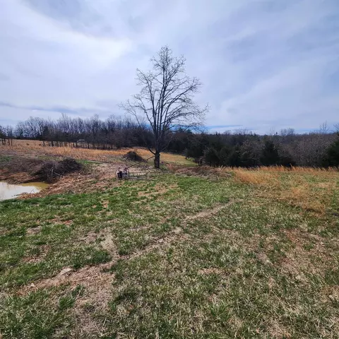 861 354 Hwy, Ash Flat, AR 72513 photo 17