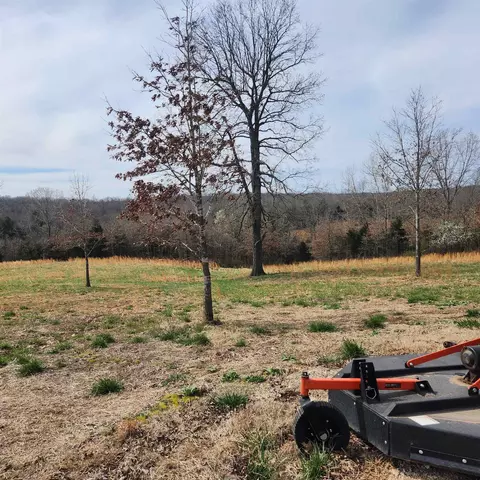 861 354 Hwy, Ash Flat, AR 72513 photo 9
