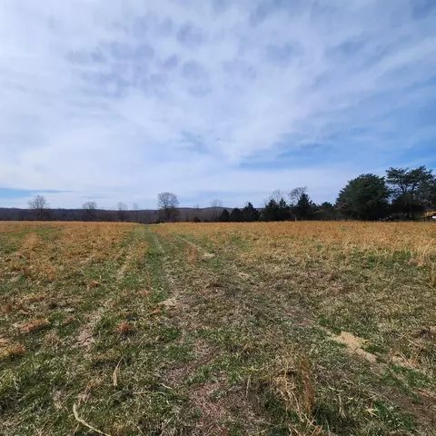 861 354 Hwy, Ash Flat, AR 72513 photo 31