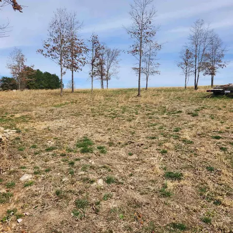 861 354 Hwy, Ash Flat, AR 72513 photo 7