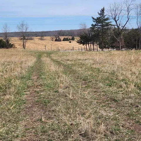 861 354 Hwy, Ash Flat, AR 72513 photo 27