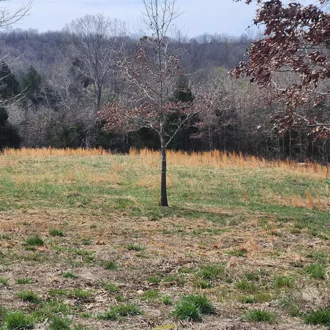 861 354 Hwy, Ash Flat, AR 72513 photo 11